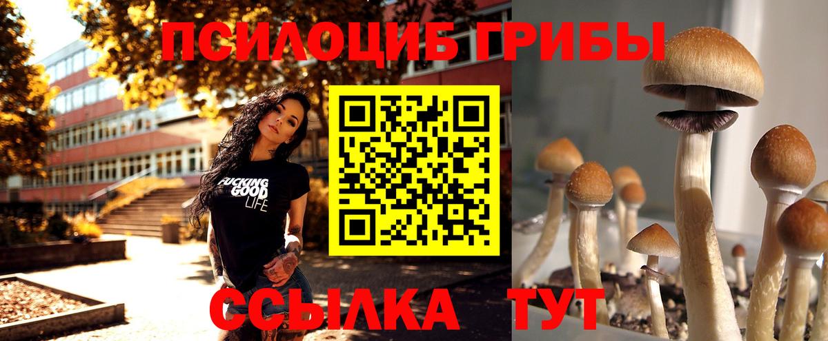 Галлюциногенные грибы MAGIC MUSHROOMS  Псилоцибиновые грибы Psilocybine cubensis  Видное  Вход с VPN 